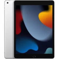 Планшет Apple iPad 10.2 2021 256GB Wi-Fi